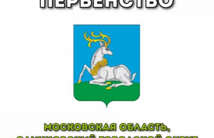 Открытое первенство Одинцовского городского округа по Тхэквондо (ВТ)