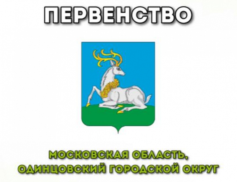 Открытое первенство Одинцовского городского округа по Тхэквондо (ВТ)