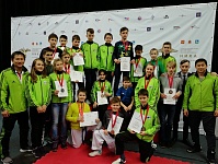 Всероссийский турнир Ника 2017