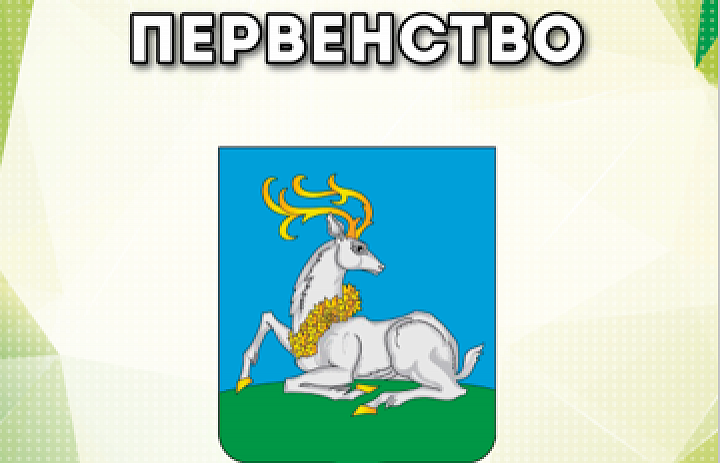 Открытое первенство Одинцовского района по тхэквондо